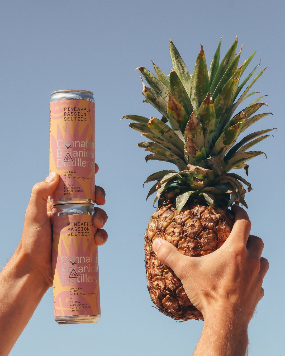 Pineapple Passion Seltzer Cube