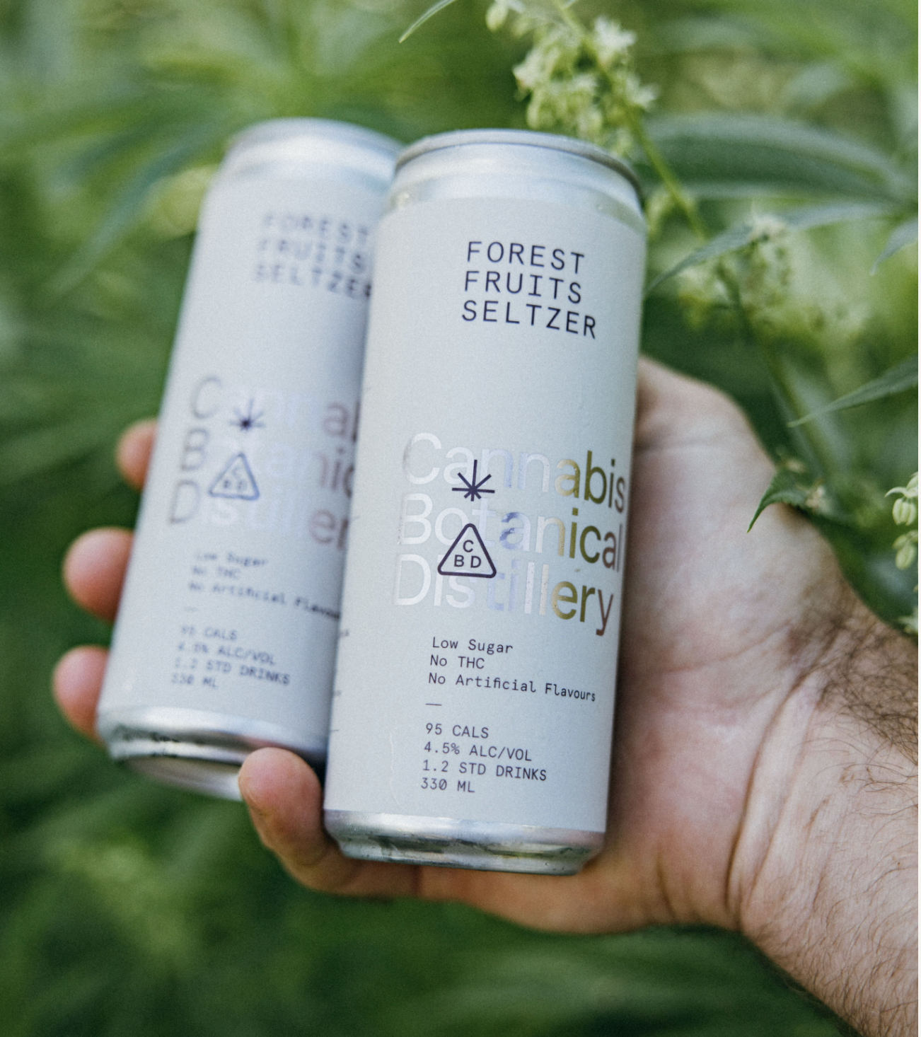 Forest Fruits Seltzer Cube