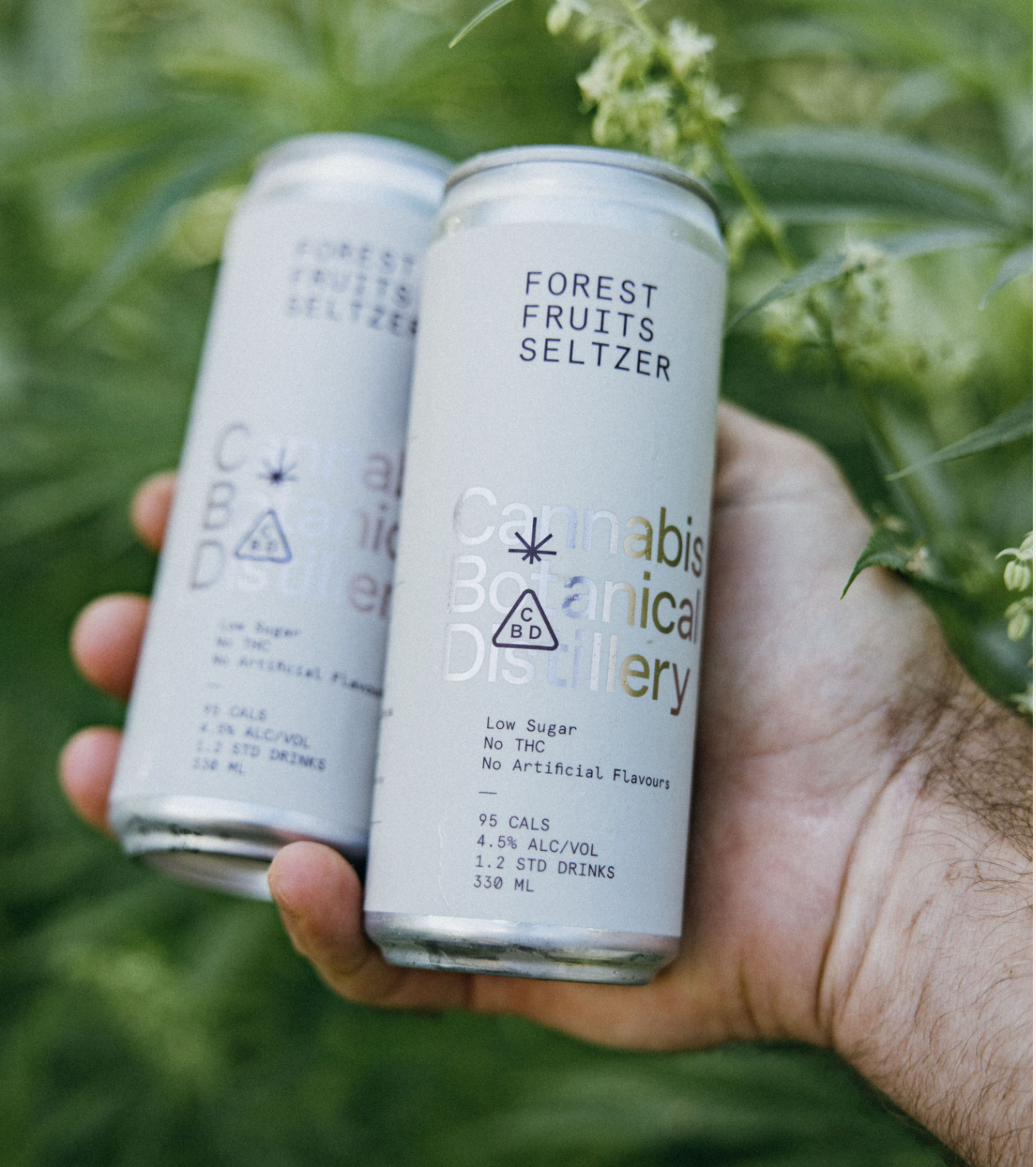 Forest Fruits Seltzer Carton