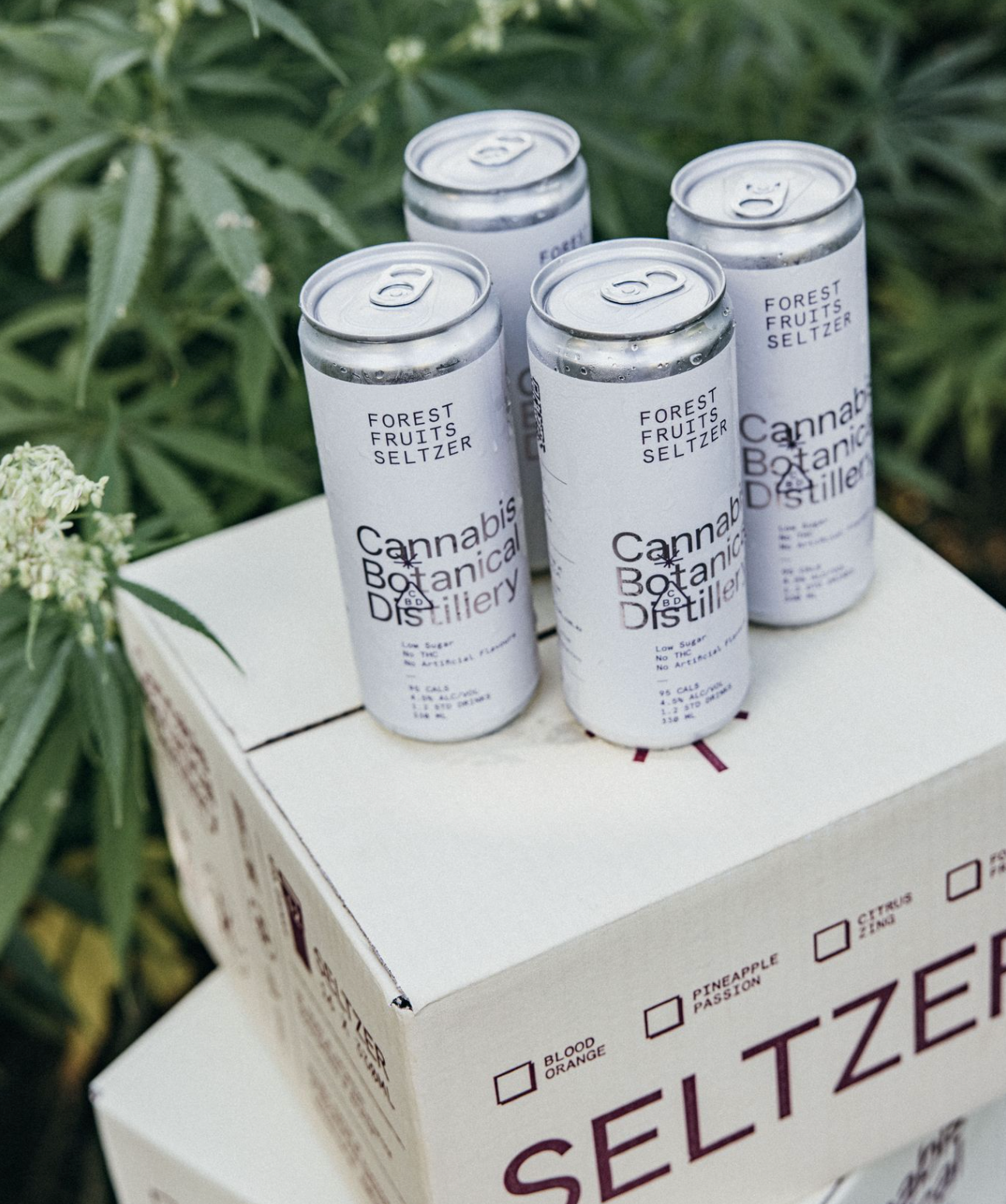 Forest Fruits Seltzer Cube