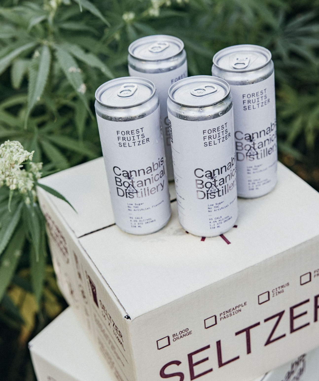 Forest Fruits Seltzer Carton