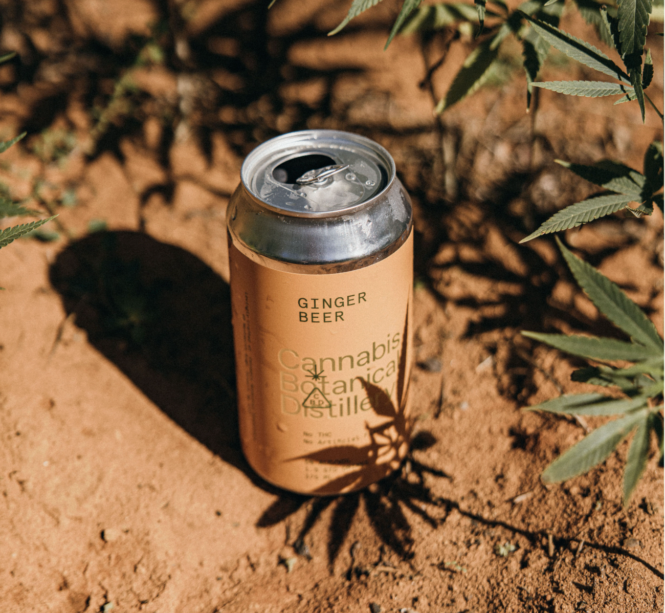 Ginger Beer Cube